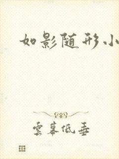 如影随形小说