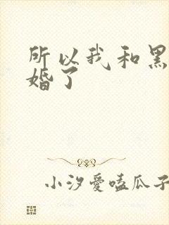 所以我和黑粉结婚了封面