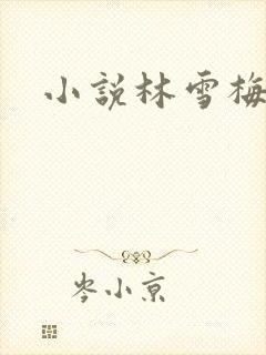 小说林雪梅