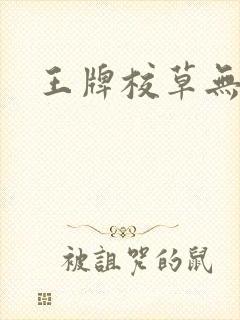 王牌校草无限爱封面