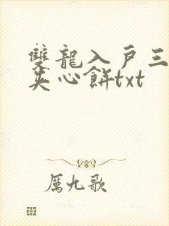 双龙入户三人行夹心饼txt