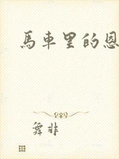 马车里的恩爱封面