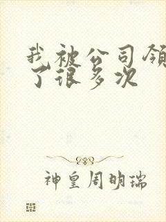 我被公司领导C了很多次