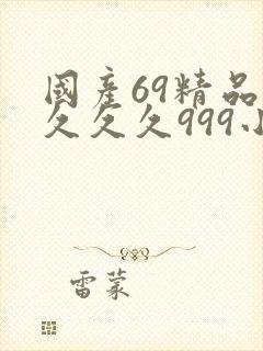 国产69精品久久久久999小说