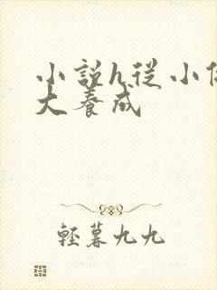 小说h从小做到大养成