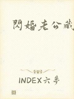 闪婚老公藏不住封面