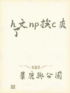 h文np挨c爽了