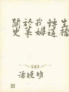 关于我转生变成史莱姆这档事小说