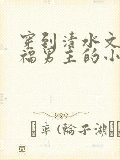 穿到清水文里造福男主的小说
