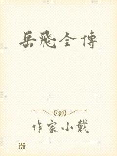 岳飞全传