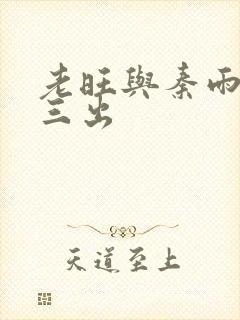 老旺与秦雨三进三出