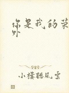 你是我的荣耀番外