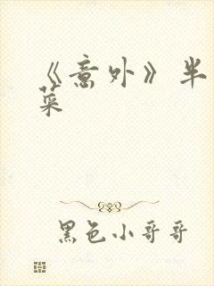 《意外》半截白菜封面
