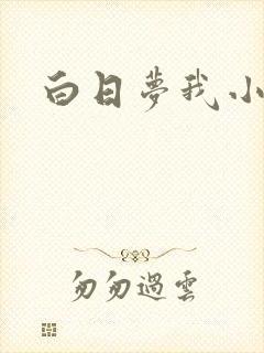 白日梦我小说