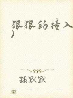 狠狠的撞入(h)