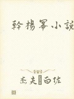 干杨幂小说封面