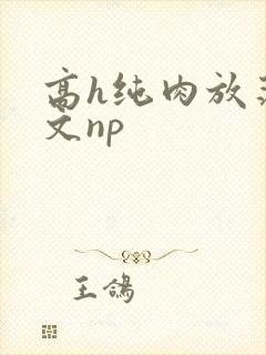 高h纯肉放荡h文np
