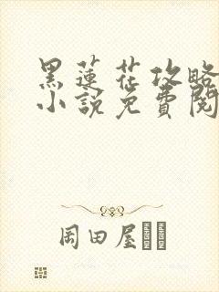 黑莲花攻略手册小说免费阅读全文