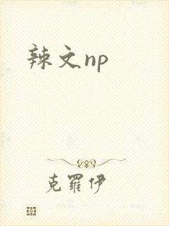 辣文np封面