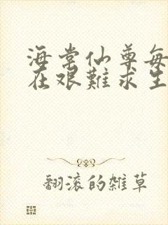 海棠仙尊每天都在艰难求生