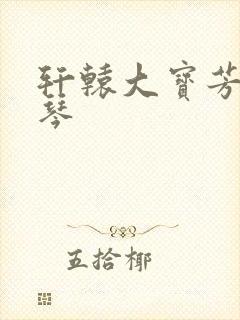 轩辕大宝芳菲雅琴