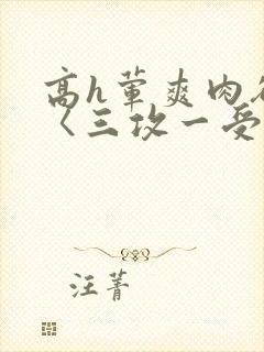 高h荤爽肉欲文〈三攻一受