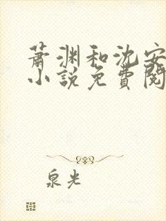 萧渊和沈安安的小说免费阅读