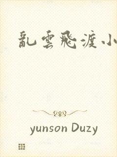 乱云飞渡小说