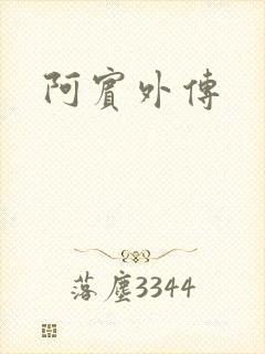 阿宾外传封面