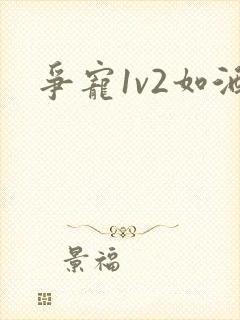 争宠1v2如酒
