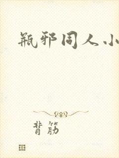 瓶邪同人小说