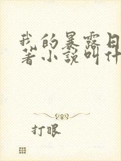 我的暴露日记原著小说叫什么