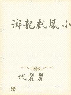 游龙戏凤小说