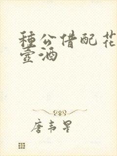种公借配花间一壶酒
