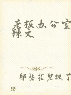 老板办公室系列辣文
