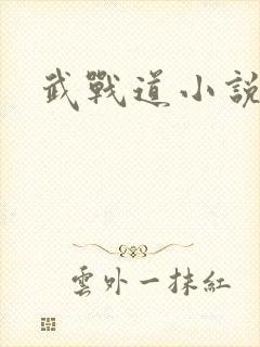 武战道小说