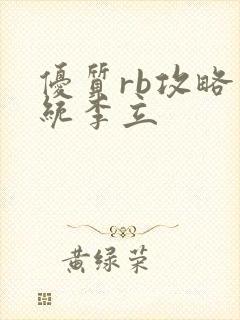 优质rb攻略系统李立