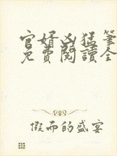 官婿凶猛笔趣阁免费阅读全文封面