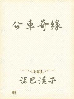 公车奇缘