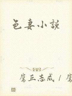 色妻小说封面