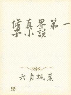 修真界第一病秧子小说