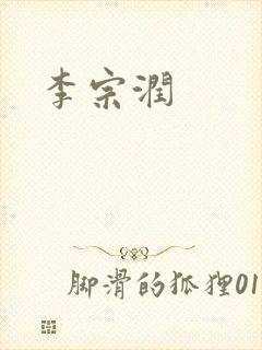 李宗润封面