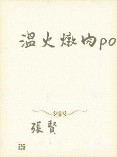 温火炖肉pop