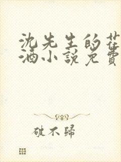 沈先生的花式调酒小说免费阅读