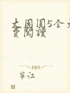 大团圆5全文免费阅读封面