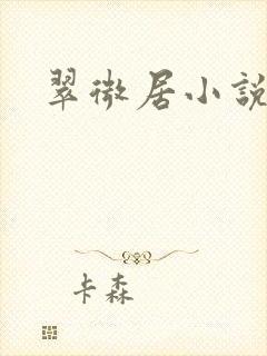 翠微居小说封面
