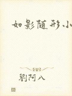 如影随形小说