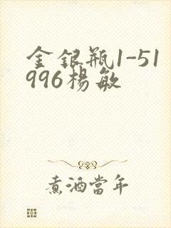 金银瓶1-51996杨敏封面