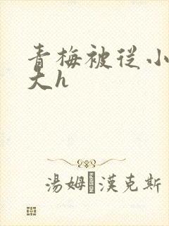 青梅被从小摸到大h封面
