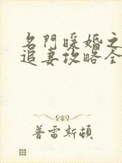 名门暖婚之权爷追妻攻略全文免费阅读
